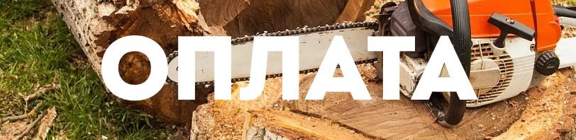 Оплата работы с деревьями Нальчик в 2025 году