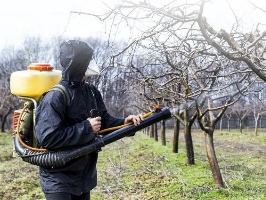 Опрыскивание деревьев Нальчик